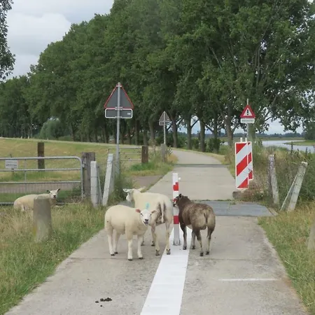De Smidse